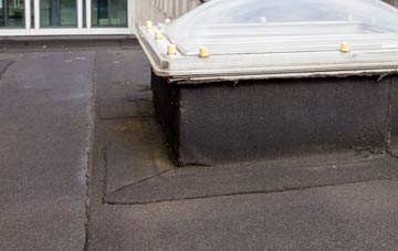 disadvantages of East Marsh flat roofs