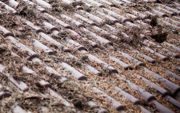 East Marsh roof cleaning companies